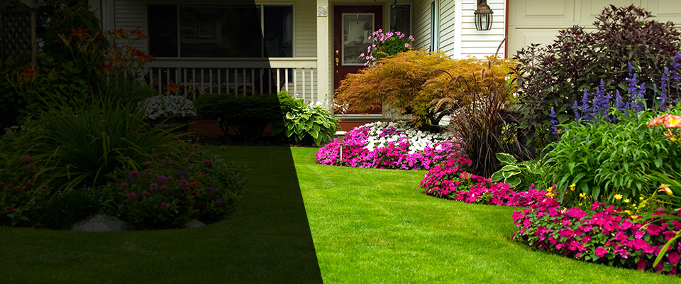 Darlington Landscapers